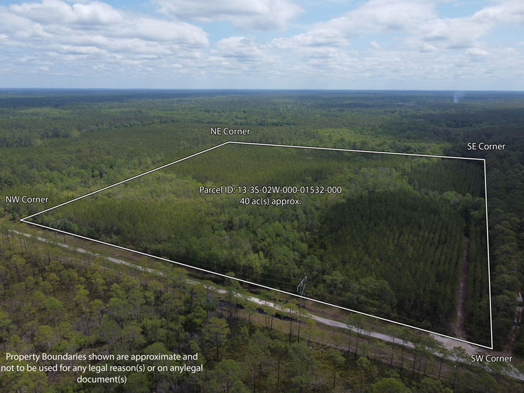 Carter Tract - Wakulla County