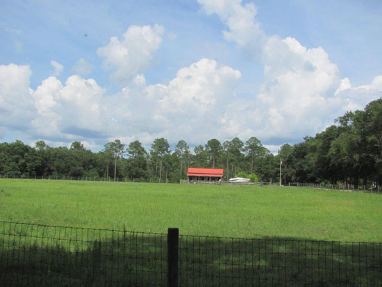 Maverick Horse Ranch