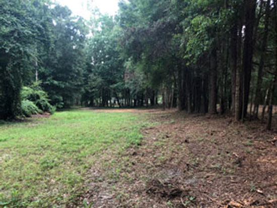 Wheeler Family Trust